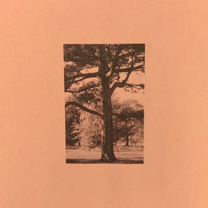 我下载一个男人日三个以上的女人p
